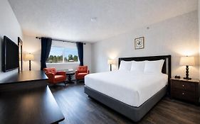 Hotel International